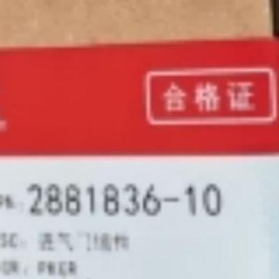 Cummins 2881836, Intake Valve Kit