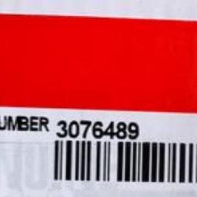 Cummins 3076489, Thermostat