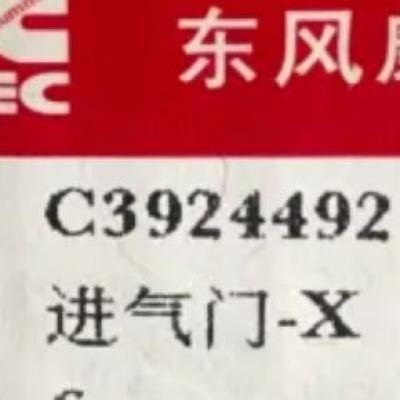 3924492, Cummins Intake Valve for 6CT, L8.9, QSL9 series