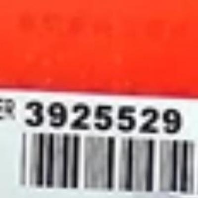 3925529, Cummins Oil Back Seal for 4BT, 6BT series
