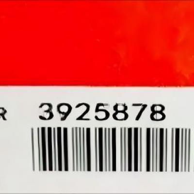 3925878, Cummins Piston for QSL9 series