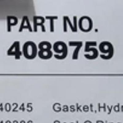 4089759, Cummins Lower Gasket Kit for L8.9 series
