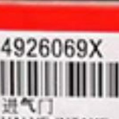 Cummins 4926069, Intake Valve Kit