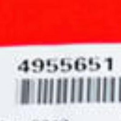 4955651, Cummins Piston Ring Set for L8.9 series