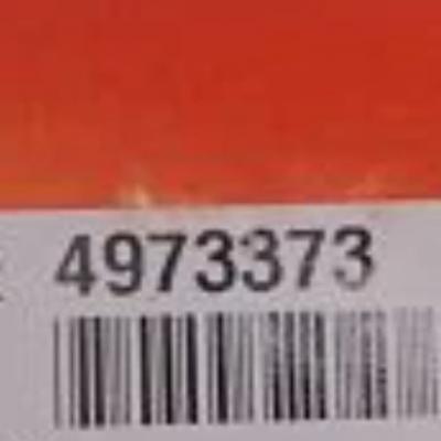 Cummins 4973373, Thermostat