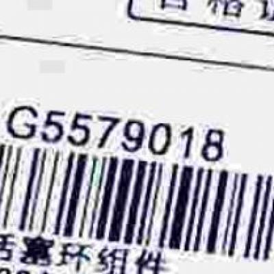 5579018, Cummins Piston Ring Set for QSL9 series