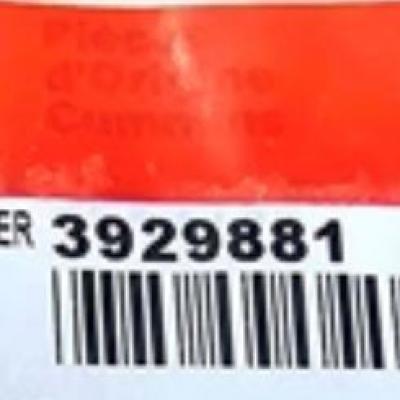 3929881, Cummins Exh Collector Gasket for 4BT, 6BT series