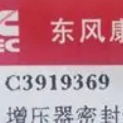 3919369, Cummins Turbocharger Gasket for ISBe series