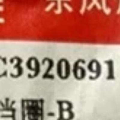 3920691, Cummins Retaining Ring for ISDe series