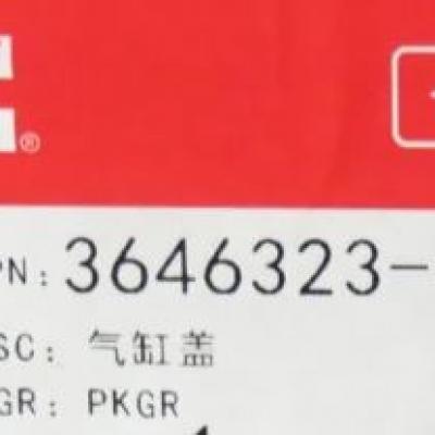 3646323, Cummins Cylinder Head for KTA19 series