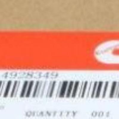 4928349, Cummins Injector for KTA19 series