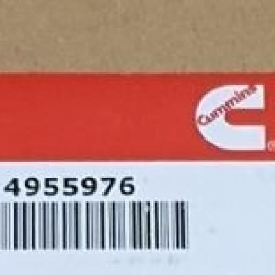 4955976, Cummins piston ring set for KTA19 series