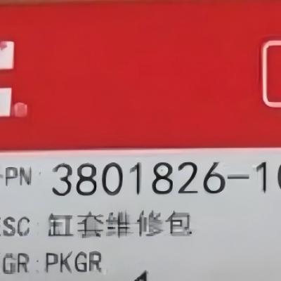 3801826, Cummins Cylinder Liner Kit for NTA855 series