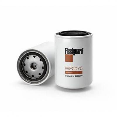 Cummins water filter